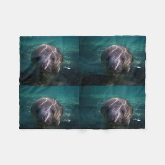 Leuke de vachtdeken van babymanatee fleece deken (Voorkant (Horizontaal))
