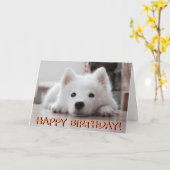 Leuke de verjaardagskaart van de puppyfoto kaart (Gele Bloem)