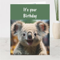 Leuke dier humor koala kwaliteit plezier 