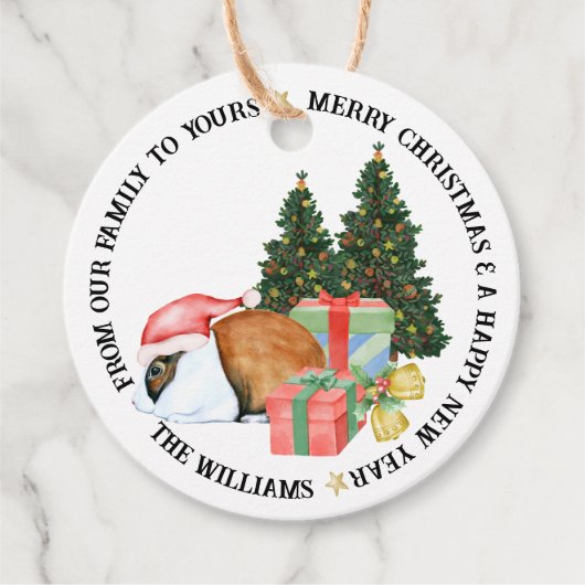 Leuke Dierenillustraties Vrolijk Kerstcadeau Bedankjes Labels (Voorkant)