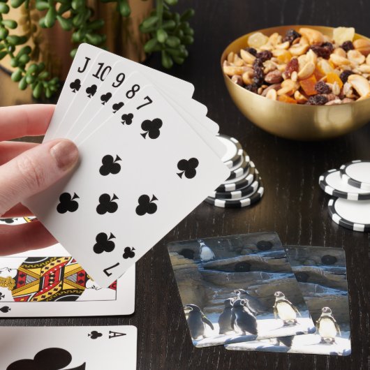 Leuke dierentuin penquins speelkaarten (Insitu)
