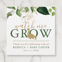 Leuke dinosaurus Kijk me groeien Succulent Plant