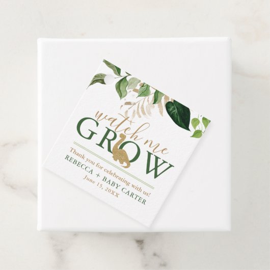 Leuke dinosaurus Kijk me groeien Succulent Plant Bedankjes Labels (In situ)