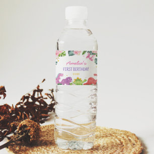 Leuke Dinosaurus Meisje Verjaardag Water Fles Labe Waterfles Etiket