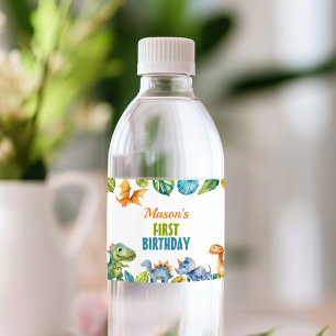 Leuke Dinosaurussen Verjaardag Water Fles Label Waterfles Etiket