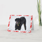 Leuke Doberman in de kaart van de Vakantie van de (Voorkant)