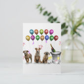 Leuke Drie Honden die Gelukkig Nieuwjaar 2016 Feestdagenkaart (Staand voorkant)