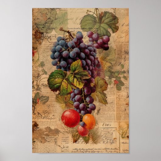 Leuke druivencollage poster (Voorkant)