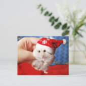 Leuke dwerghamster Tutku met het pet van de Feestdagenkaart (Staand voorkant)