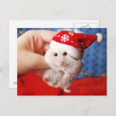Leuke dwerghamster Tutku met het pet van de Feestdagenkaart (Voorkant / Achterkant)