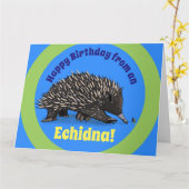 Leuke echidna met de verjaardagskaart van de kaart (Gele Bloem)