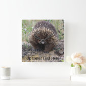 Leuke Echidna van Australië Vierkante Klok (Huis)