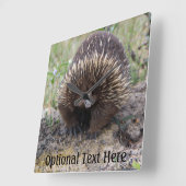 Leuke Echidna van Australië Vierkante Klok (Hoek)