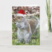 Leuke Eekhoorn Dragen Santa Pet Vakantie Feestdagen Kaart (Voorkant)