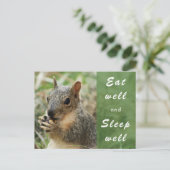 Leuke eekhoorn eet goed en slaap goed Postkaart (Staand voorkant)