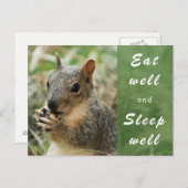 Leuke eekhoorn eet goed en slaap goed Postkaart (Voorkant / Achterkant)