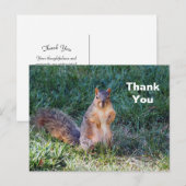 Leuke Eekhoorn Foto Bedankt Briefkaart (Voorkant / Achterkant)
