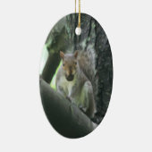 Leuke Eekhoorn met het Dierlijke Ornament van de (Rechts)