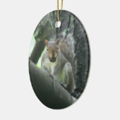 Leuke Eekhoorn met het Dierlijke Ornament van de (Links)