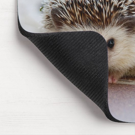 Leuke egel, Muismat (Hoek)