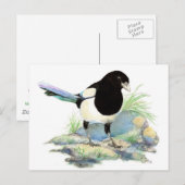 Leuke Ekster - de Vogel van de Waterverf Briefkaart (Voorkant / Achterkant)