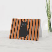 Leuke en Fancy Halloween Black Cats (Voorkant)