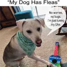 Leuke en Fancy Ukulele Tuning Song Muziek Note