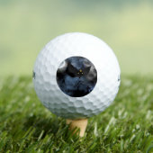 Leuke enge ontwerp voor Halloween Golfballen (Insitu Shirt)