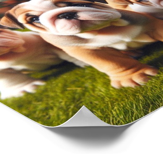Leuke Engelse Bulldog puppies Poster (Hoek)