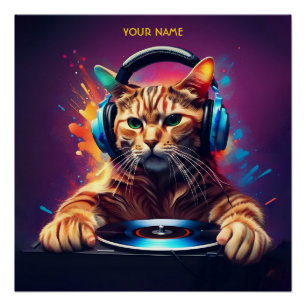 Leuke Fantasy Cat DJ Vinyl Perfect Poster