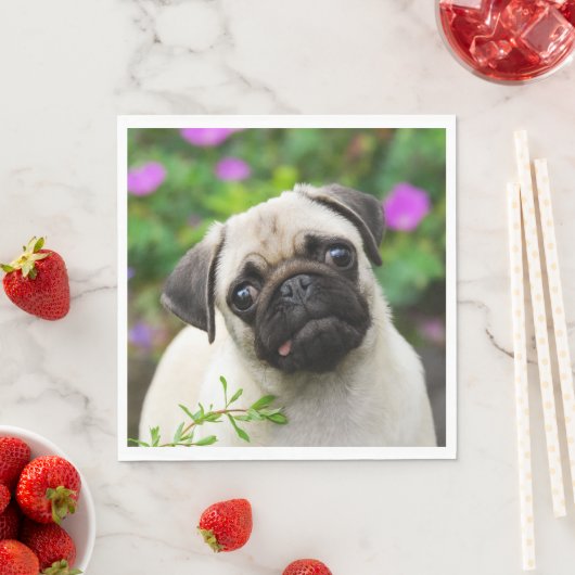 Leuke Fawn gekleurde pug puppy hond gezicht huisdi Servet (Insitu)