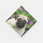 Leuke Fawn gekleurde pug puppy hond gezicht huisdi Servet (Hoek)