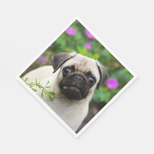 Leuke Fawn gekleurde pug puppy hond gezicht huisdi Servet (Hoek)