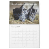 Leuke Feiten Kitten Kat Kalender (Feb 2027)