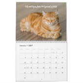 Leuke Feiten Kitten Kat Kalender (Jan 2027)
