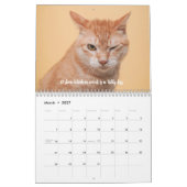 Leuke Feiten Kitten Kat Kalender (Mar 2027)