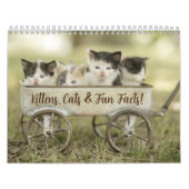 Leuke Feiten Kitten Kat Kalender (Hoes)