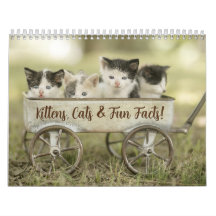 Leuke Feiten Kitten Kat Kalender