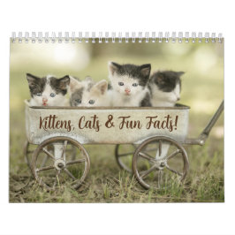Leuke Feiten Kitten Kat Kalender