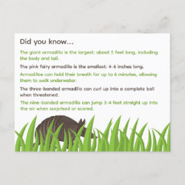 Leuke feiten over Armadillos Briefkaart