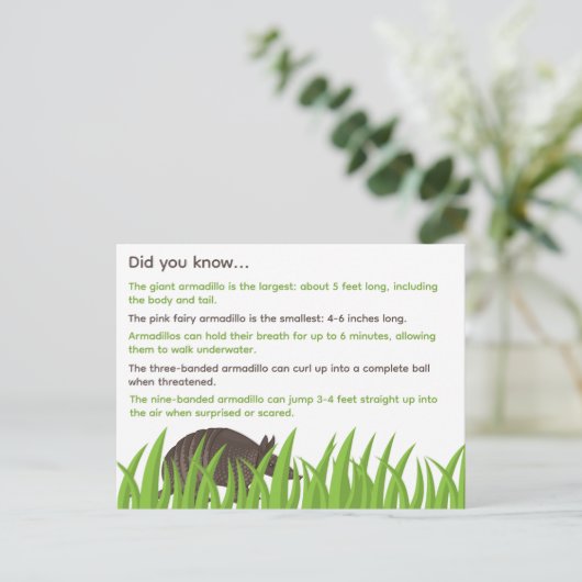 Leuke feiten over Armadillos Briefkaart (Staand voorkant)