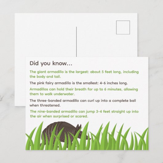 Leuke feiten over Armadillos Briefkaart (Voorkant / Achterkant)