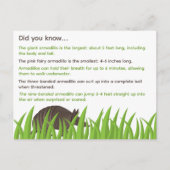 Leuke feiten over Armadillos Briefkaart (Voorkant)