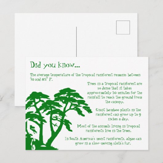 Leuke Feiten over het Rainforest Briefkaart (Voorkant / Achterkant)