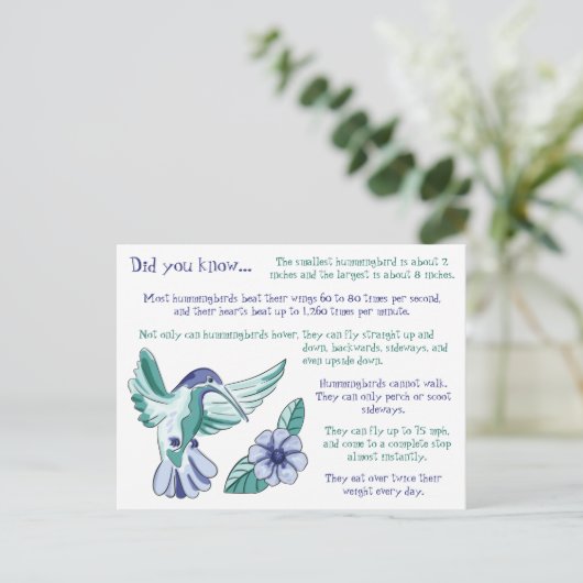 Leuke feiten over kolibries briefkaart (Staand voorkant)