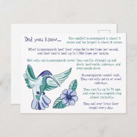Leuke feiten over kolibries briefkaart (Voorkant / Achterkant)