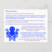 Leuke feiten over octopussen