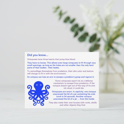 Leuke feiten over octopussen briefkaart (Staand voorkant)