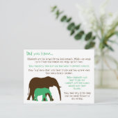 Leuke feiten over olifanten briefkaart (Staand voorkant)