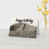 Leuke Ferret Happy Birthday Kaart (Gele Bloem)
